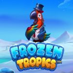 Frozen Tropics Frozen Tropics