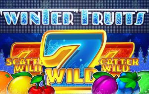 Winter Fruits