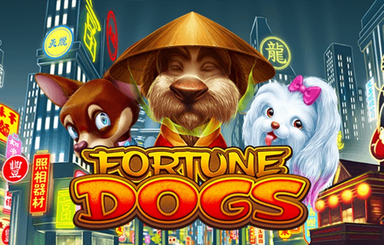Fortune Dogs