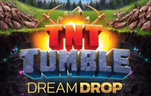 TNT Tumble Dream Drop
