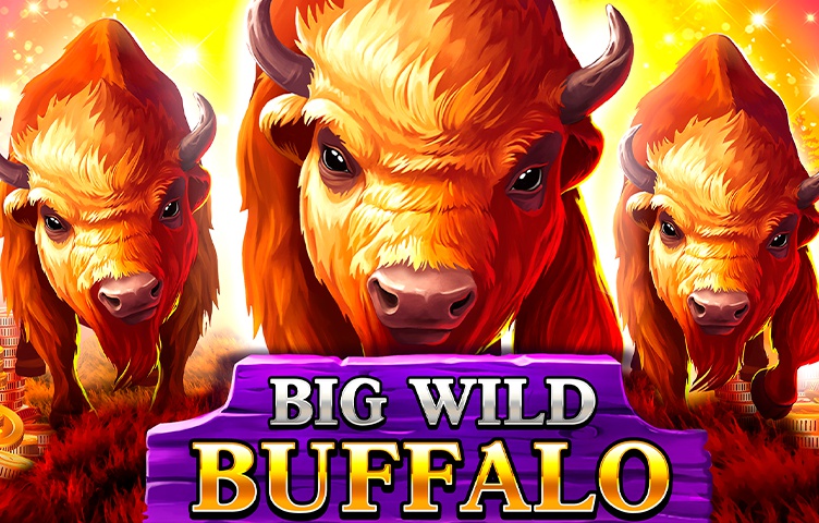 Big Wild Buffalo