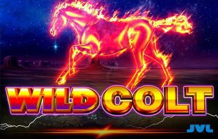Wild Colt