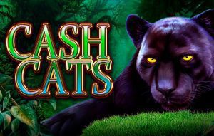 Cash Cats