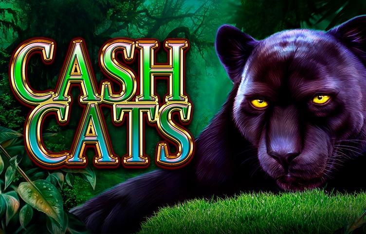 Cash Cats