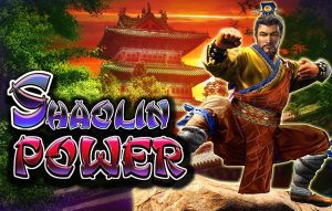 Shaolin Power