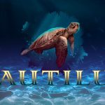 Nautilus Nautilus