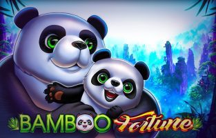 Bamboo Fortune