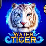 Water Tiger Water Tiger