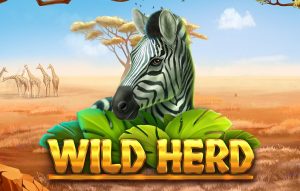Wild Herd