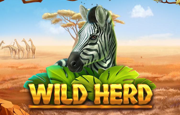 Wild Herd Wild Herd