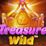 Treasure Wild Treasure Wild