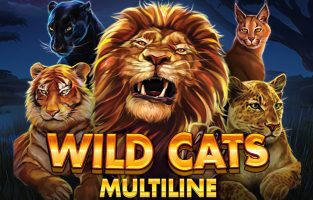 Wild Cats Multiline