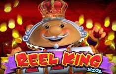 Reel King Mega