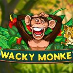 Wacky Monkey