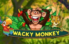 Wacky Monkey
