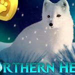 Northern Heat Northern Heat