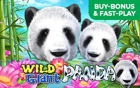 Wild Giant Panda Wild Giant Panda