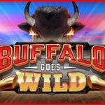 Buffalo Goes Wild