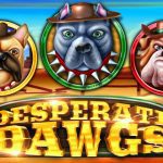 Desperate Dawgs