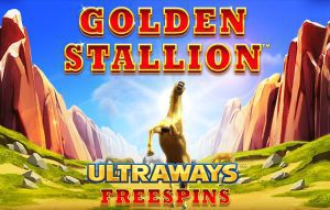 Golden Stallion