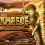 Stampede Stampede