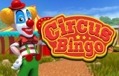 Bingo Circus