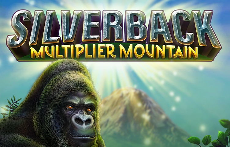 Silverback Multiplier Mountain Silverback Multiplier Mountain