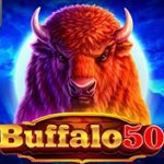 Buffalo 50 Buffalo 50