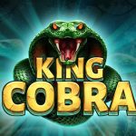 King Cobra